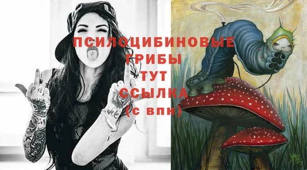 СК Абинск