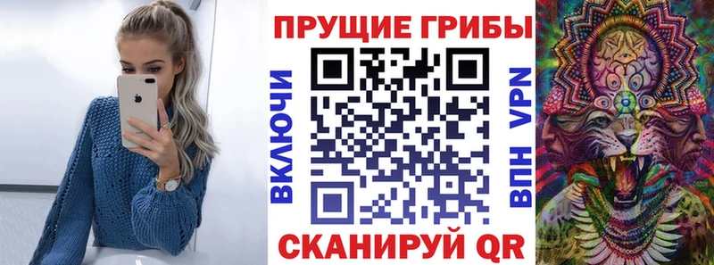 мега маркетплейс купить наркотики цена Щёкино Галлюциногенные грибы Cubensis